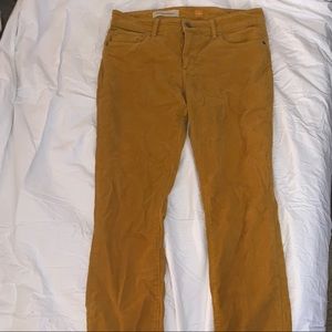 Yellow corduroy skinny pants